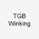 TGB/Winking Motorcycle Batteries