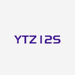 YTZ12S