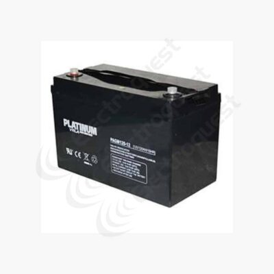 pagm100-12 platinum agm leisure battery